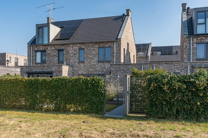 Foto 39 van Zeelststraat 17