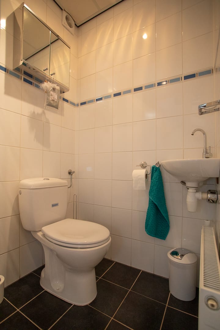 Foto 5 van Hooiland 85