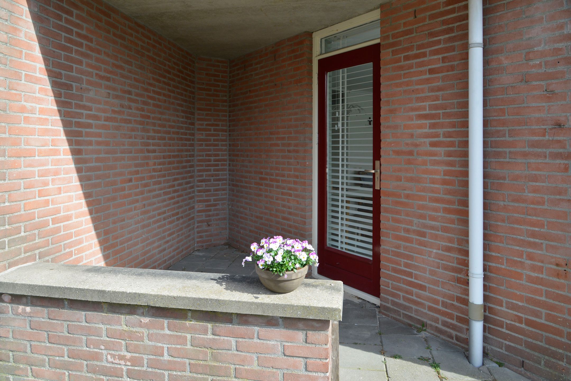 Foto 15 van Droogdok 16