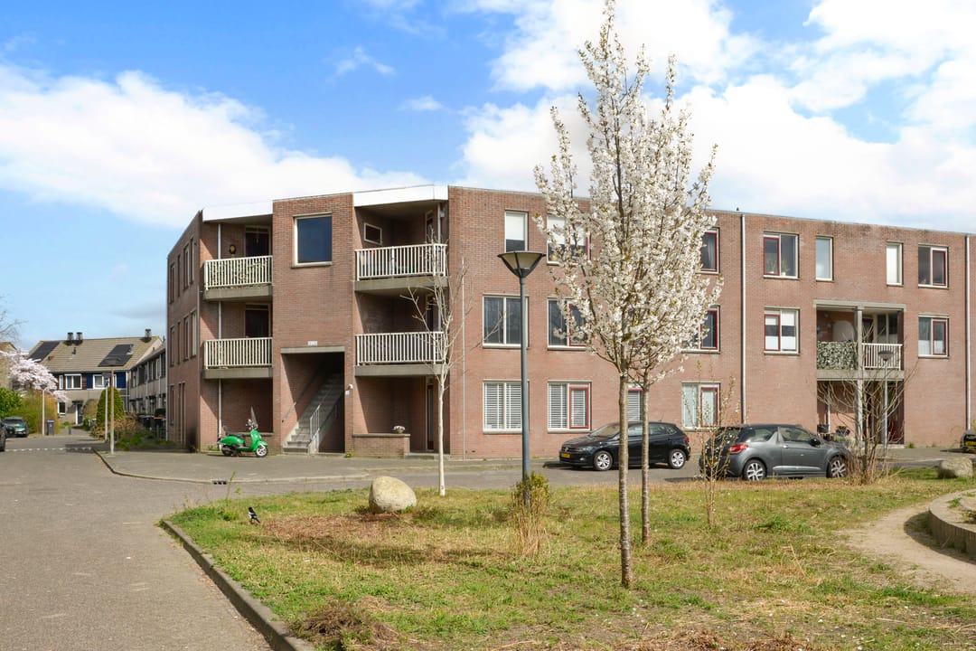 Foto 17 van Droogdok 16