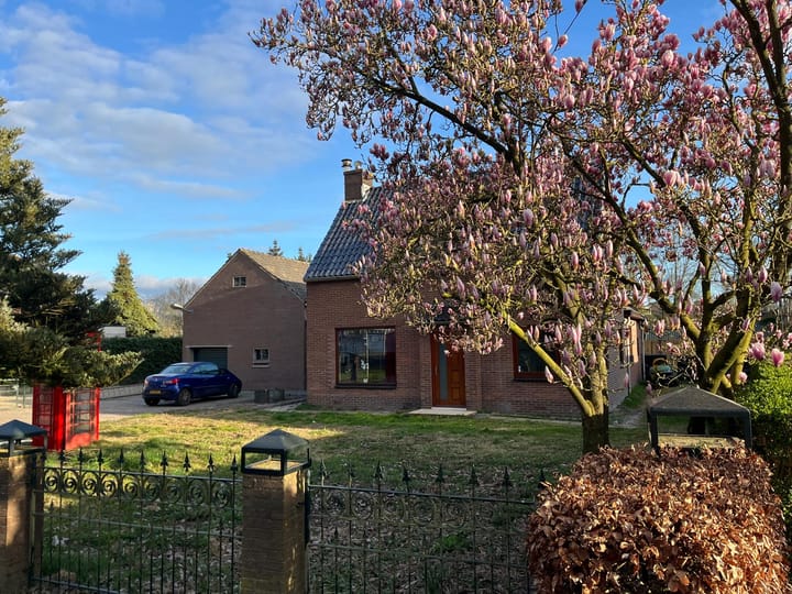 Foto 1 van Helmkruid 24