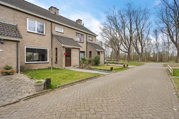 Foto 1 van Potmaat 9