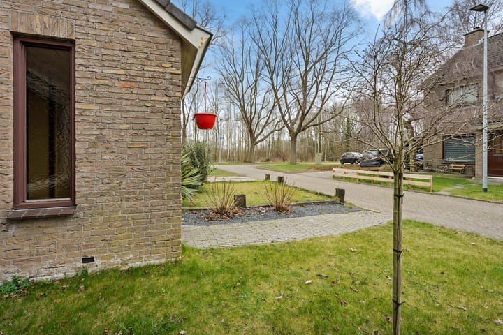 Foto 5 van Potmaat 9