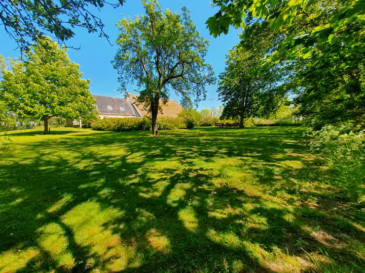 Foto 11 van Hearewei 39