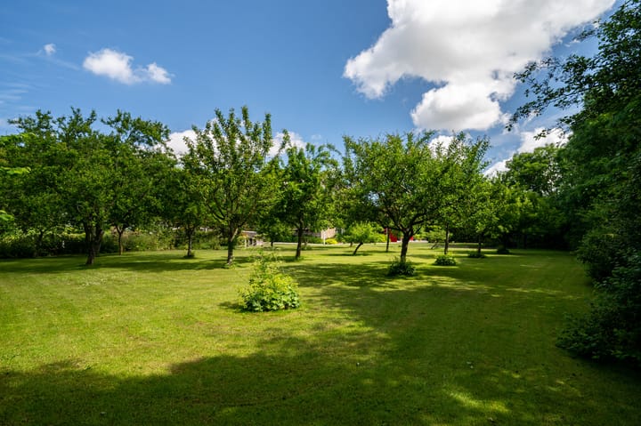 Foto 13 van Hearewei 39