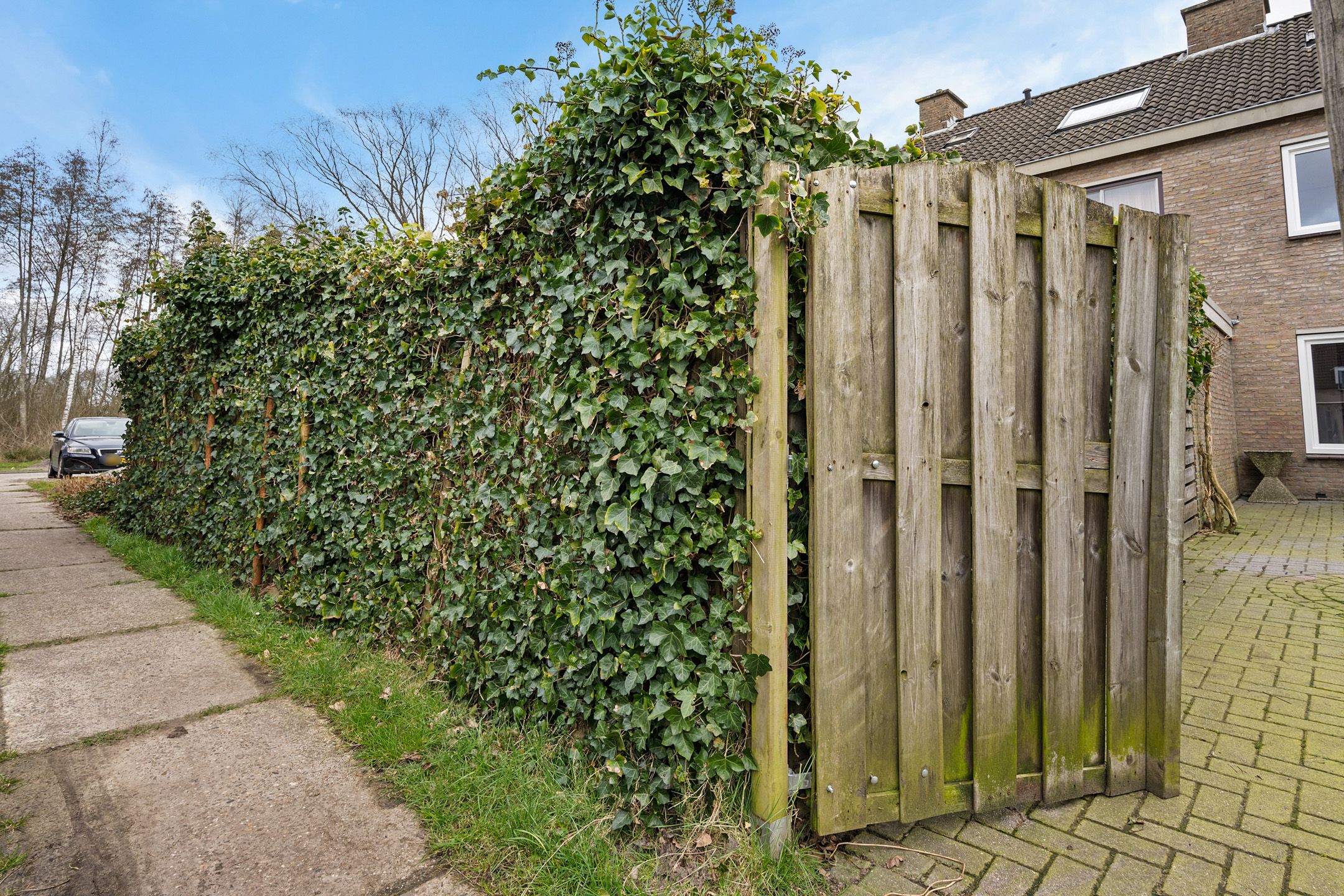 Foto 42 van Potmaat 9