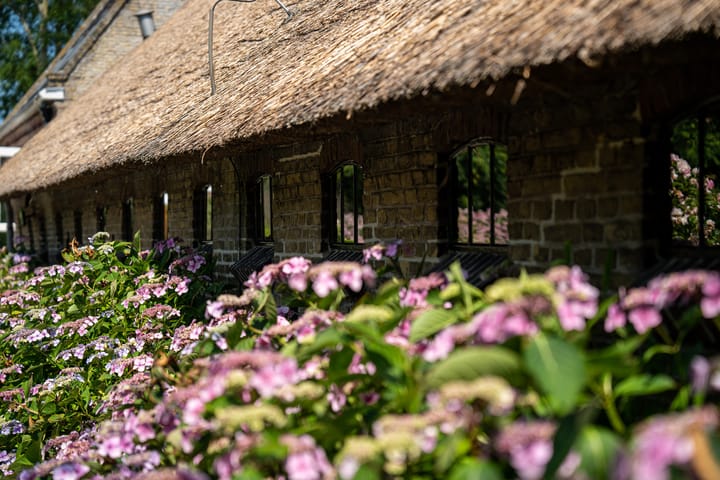 Foto 56 van Hearewei 39