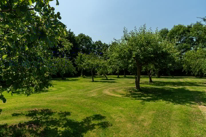 Foto 60 van Hearewei 39