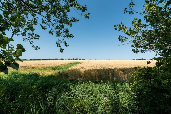 Foto 76 van Hearewei 39