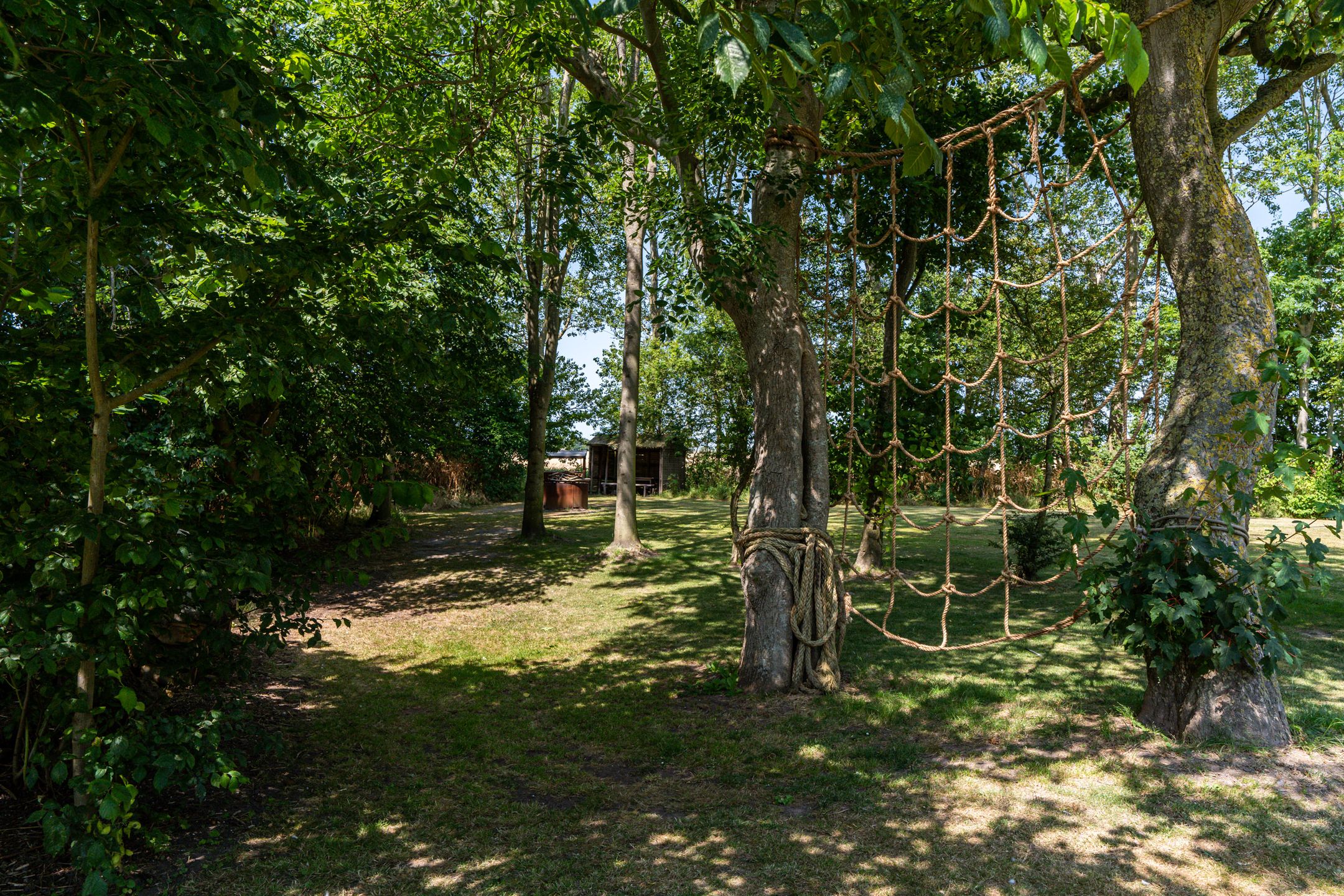 Photo 78 of Hearewei 39