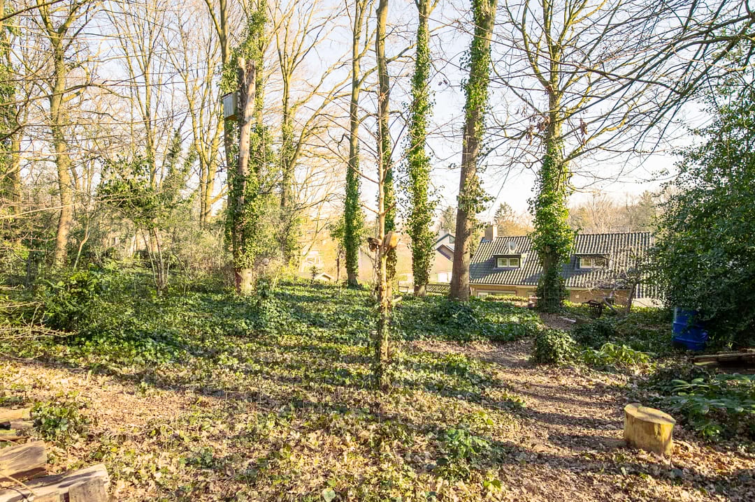 Foto 38 van Kitskensdal 29