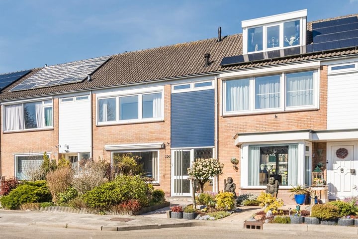 Bekijk foto van Hertog Albrechtstraat 396