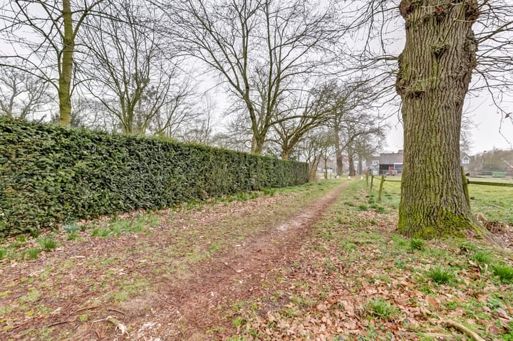 Foto 6 van West Kluinveenweg