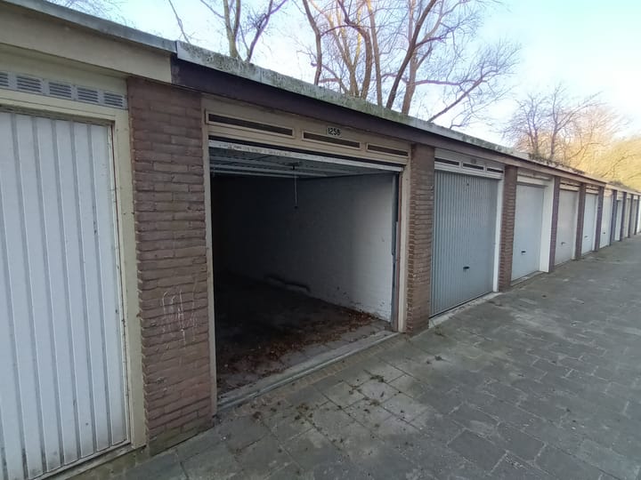 Foto 4 van Jan van Goyenstraat 1258