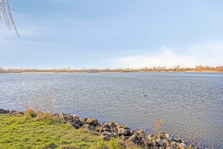 Foto 40 van Rosa Spierstraat 44