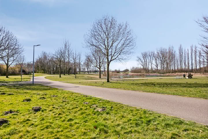 Foto 43 van Rosa Spierstraat 44