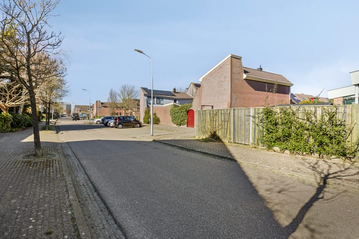 Foto 37 van Rosa Spierstraat 44