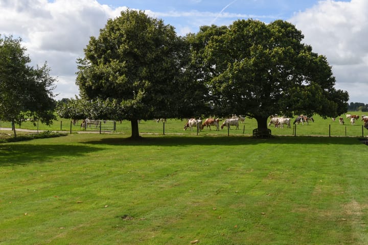 Foto 27 van Oosterlandweg 27