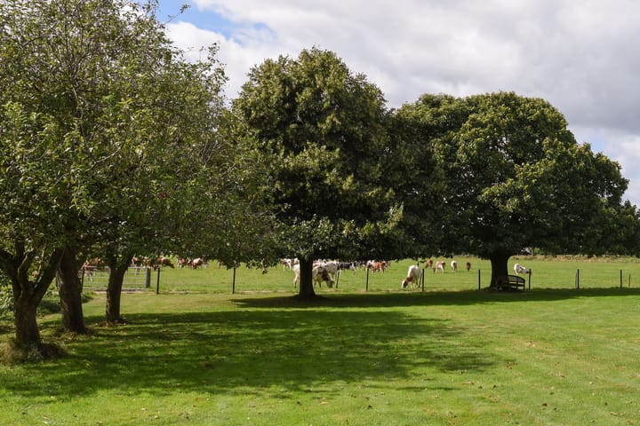 Foto 28 van Oosterlandweg 27