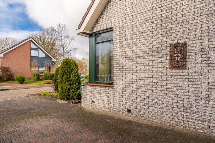 Foto 11 van Rietzoom 12