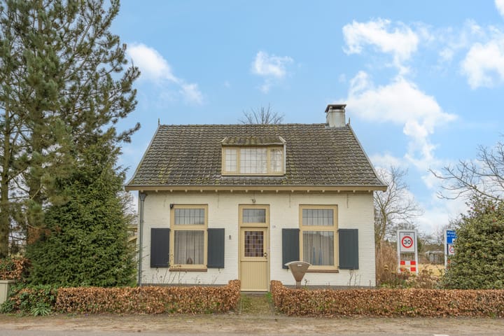 undefined main image