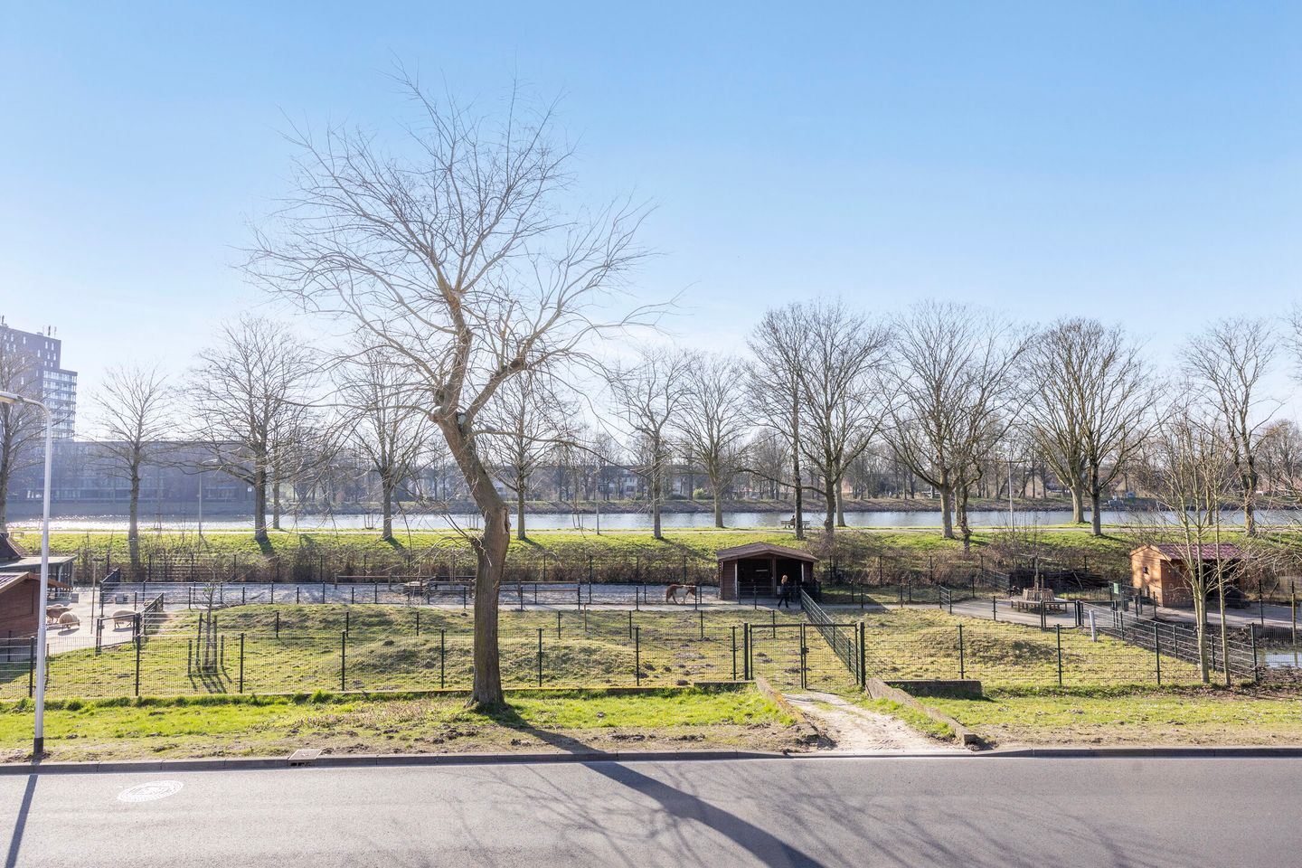 Foto 35 van Nocturnestraat 8