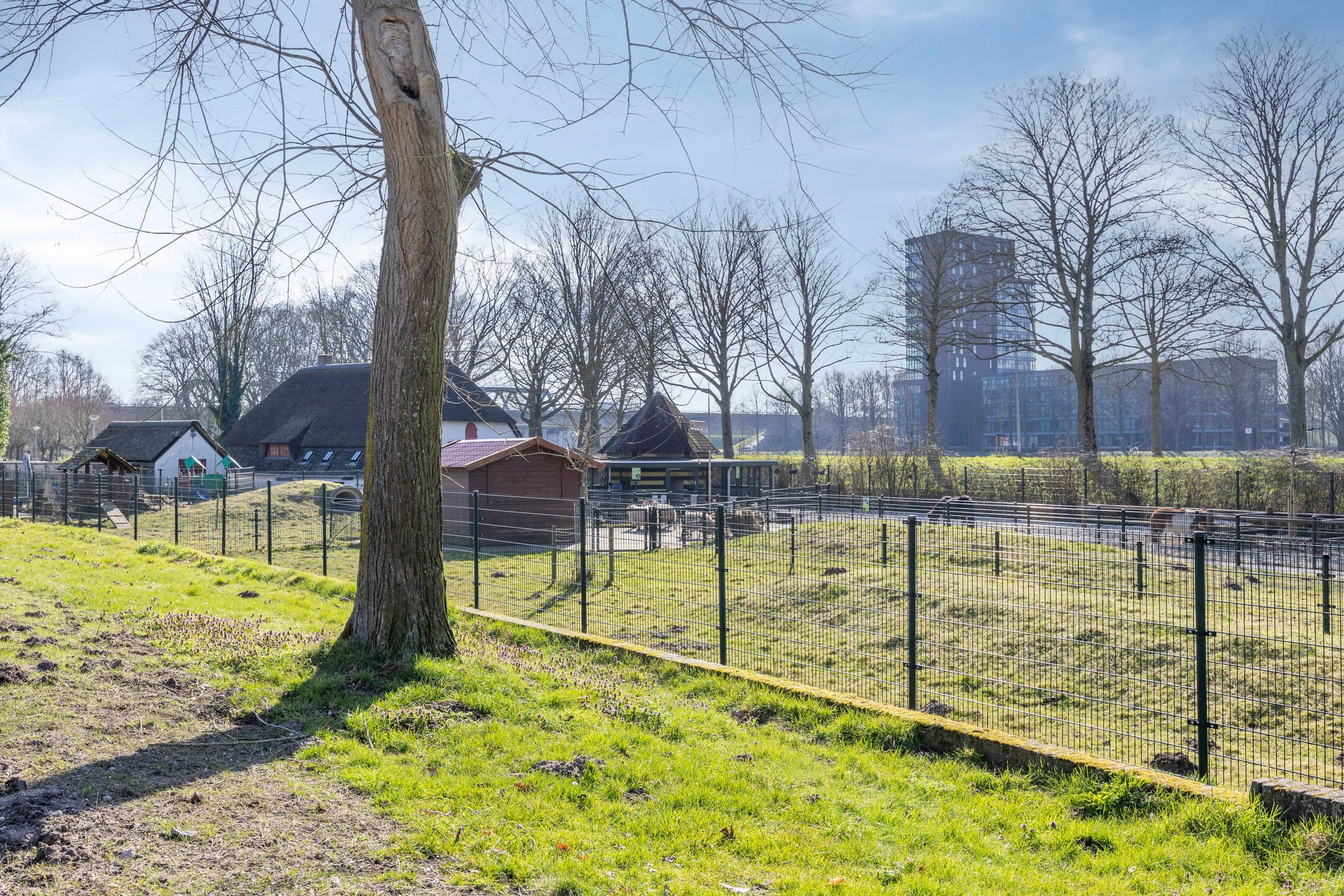 Foto 51 van Nocturnestraat 8