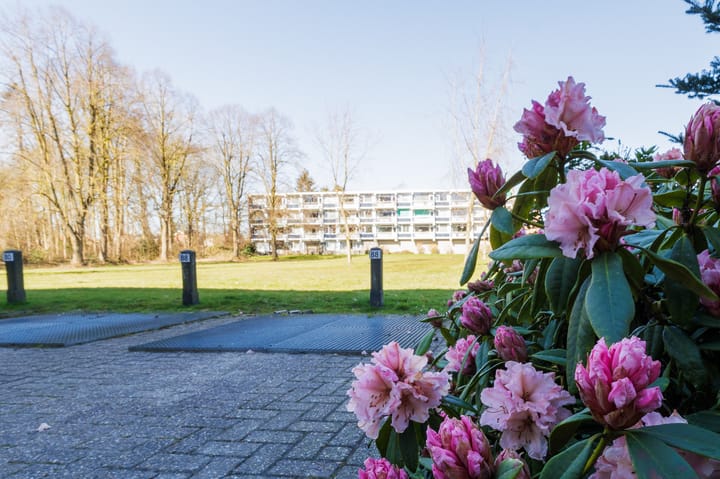 Photo 55 of Stadhouderslaan 88