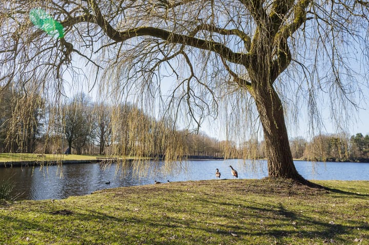 Photo 58 of Stadhouderslaan 88