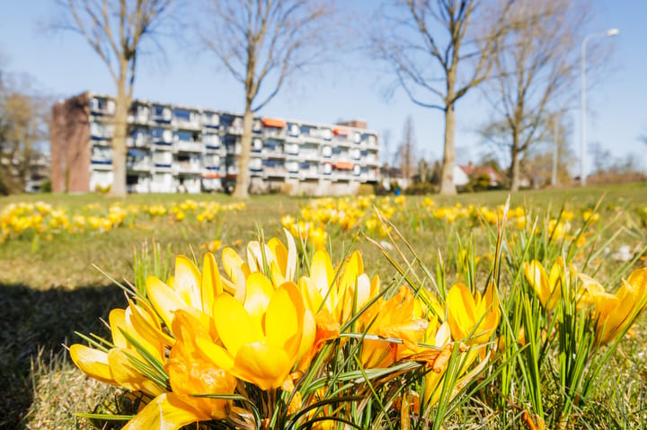 Photo 62 of Stadhouderslaan 88