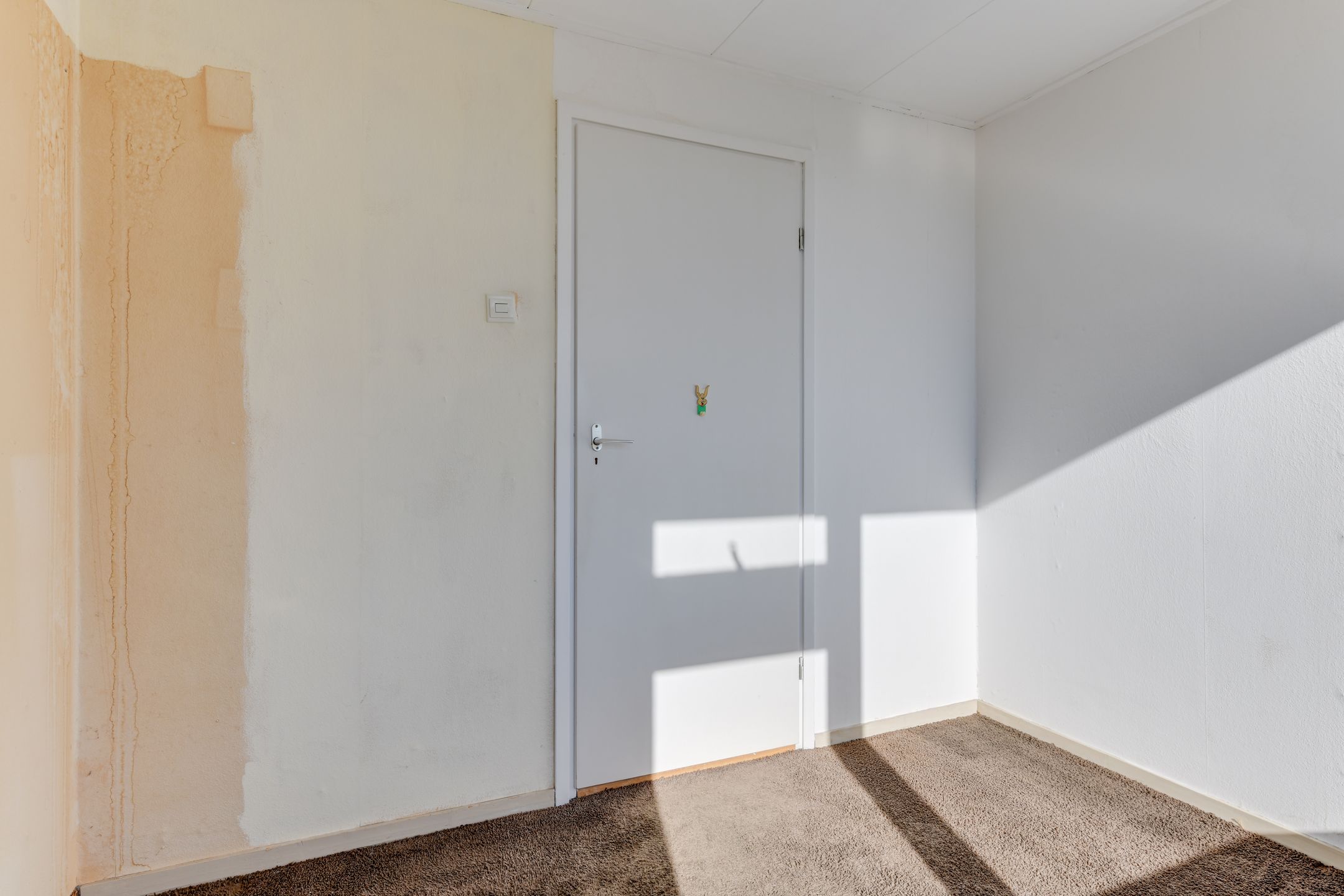 Foto 24 van Breedelaan 87