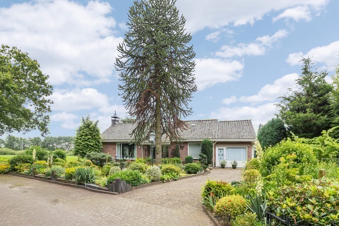 Foto 1 van de Jongstraat 6