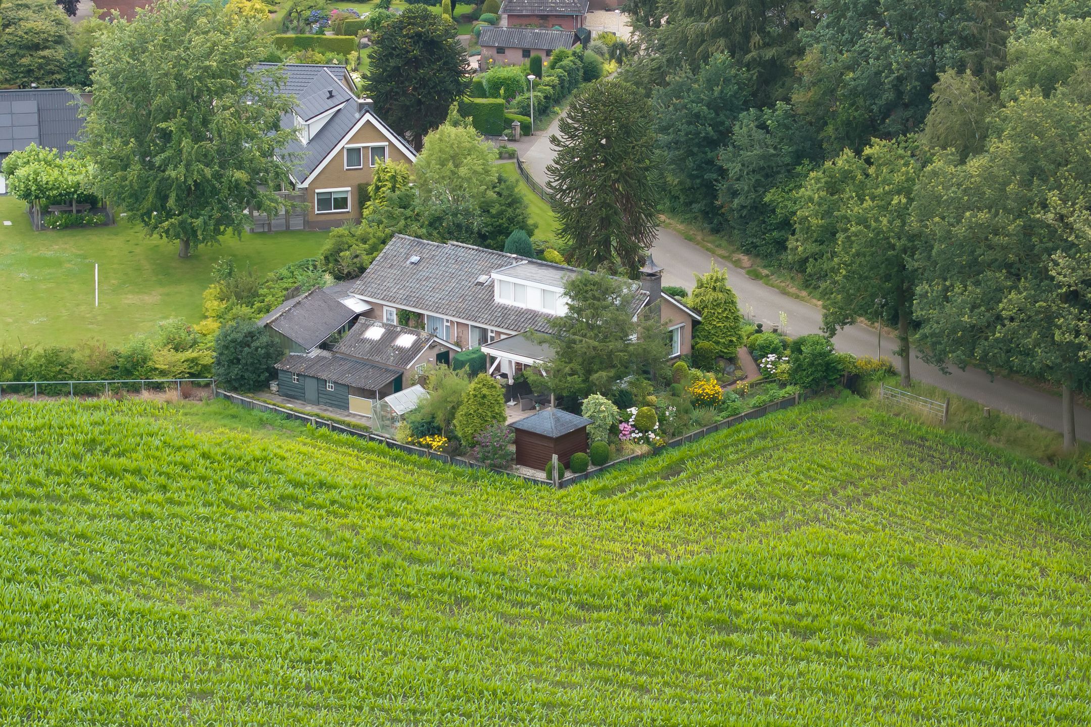 Foto 3 van de Jongstraat 6