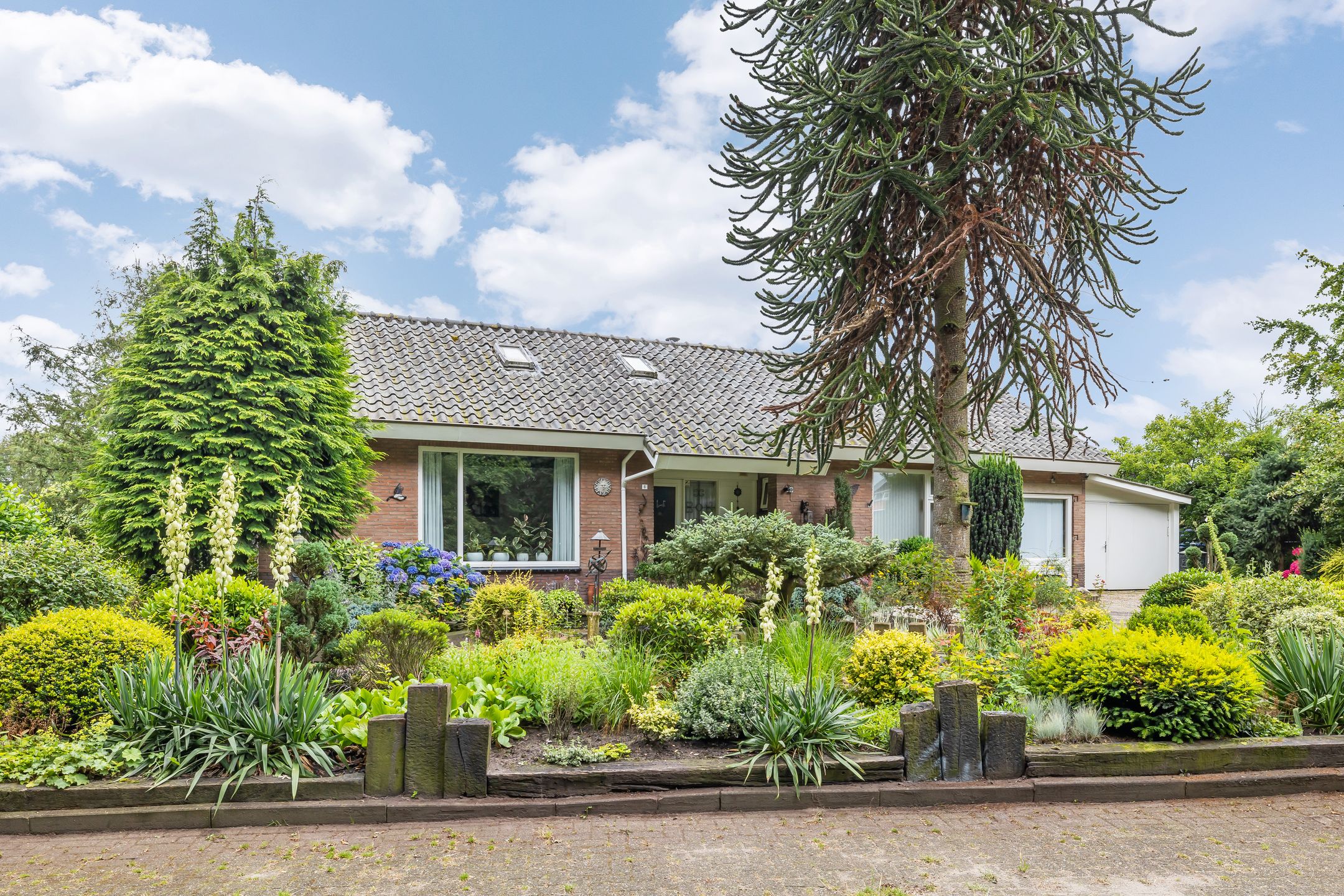 Foto 30 van de Jongstraat 6