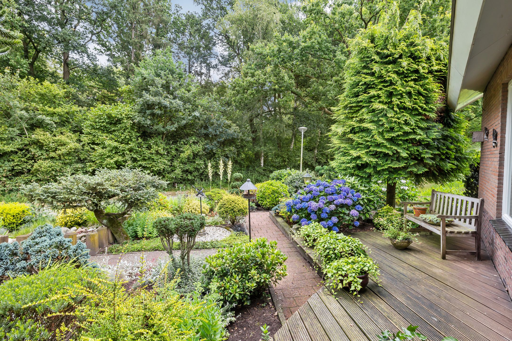 Foto 33 van de Jongstraat 6