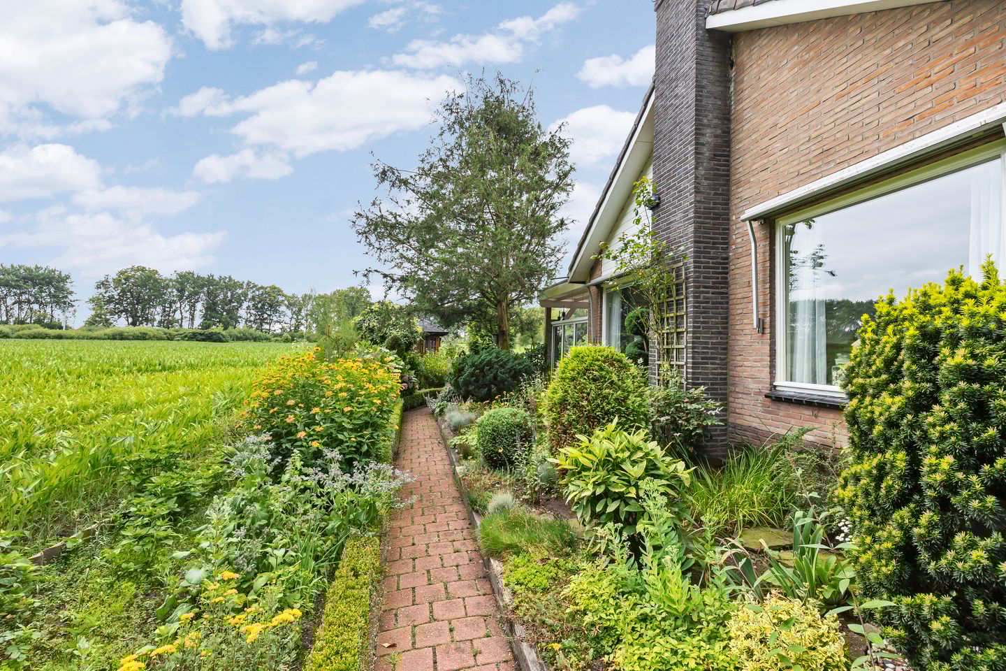 Foto 34 van de Jongstraat 6