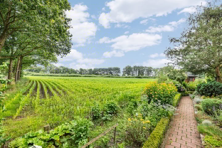 Foto 35 van de Jongstraat 6