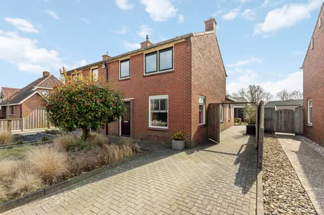 undefined main image