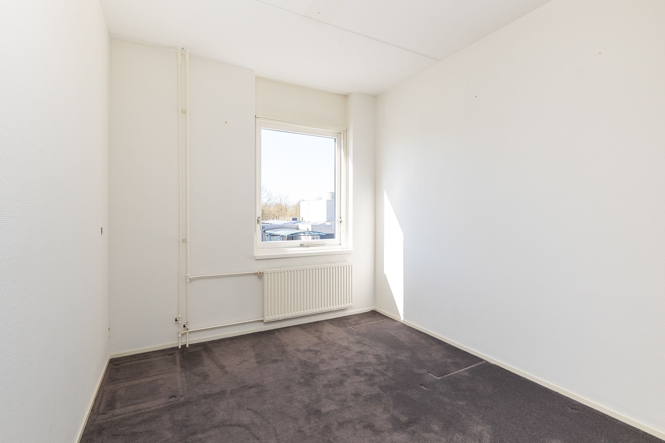 Foto 21 van Vosseveld 24