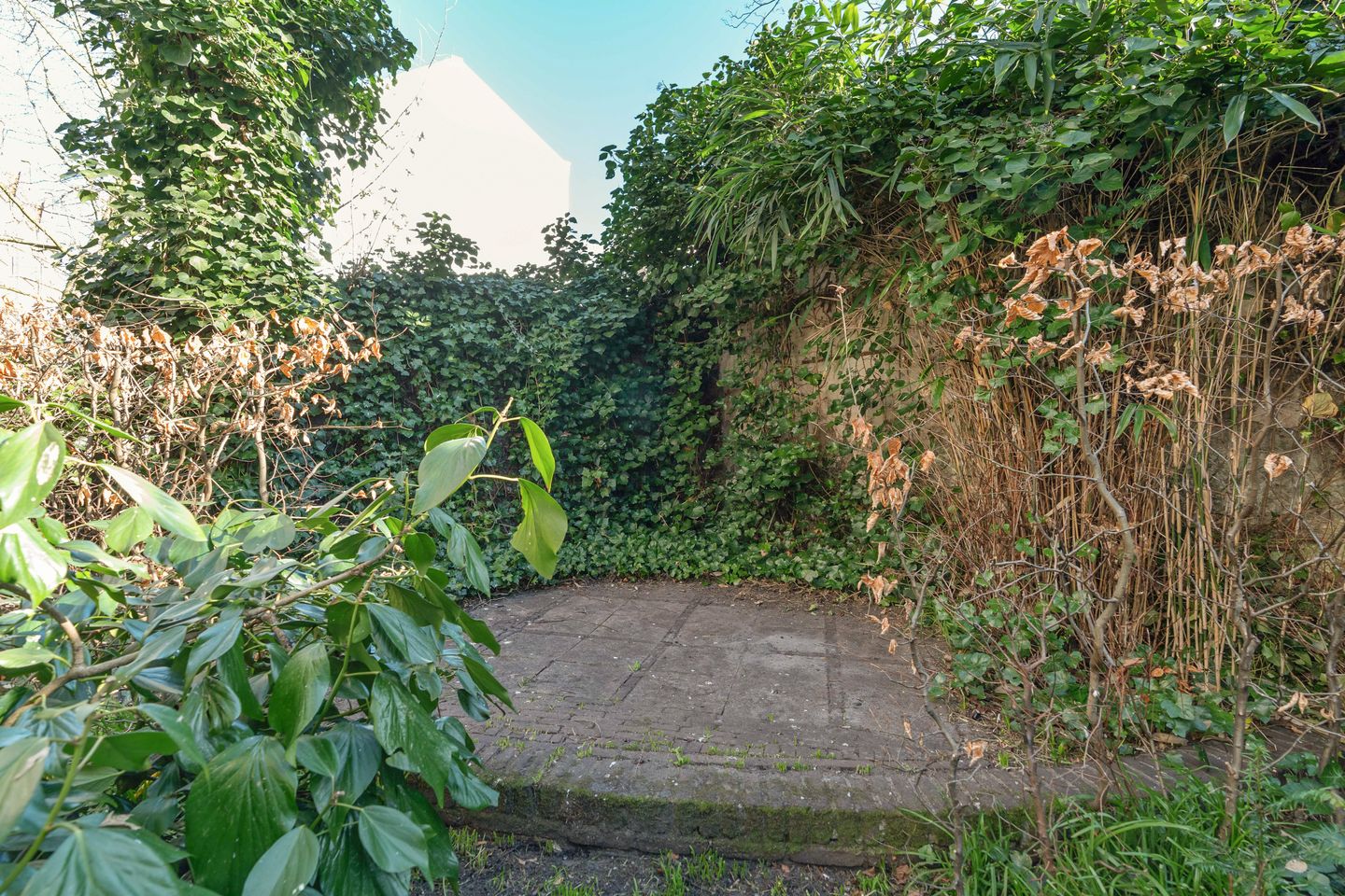 Foto 29 van Prinsengracht 407-A