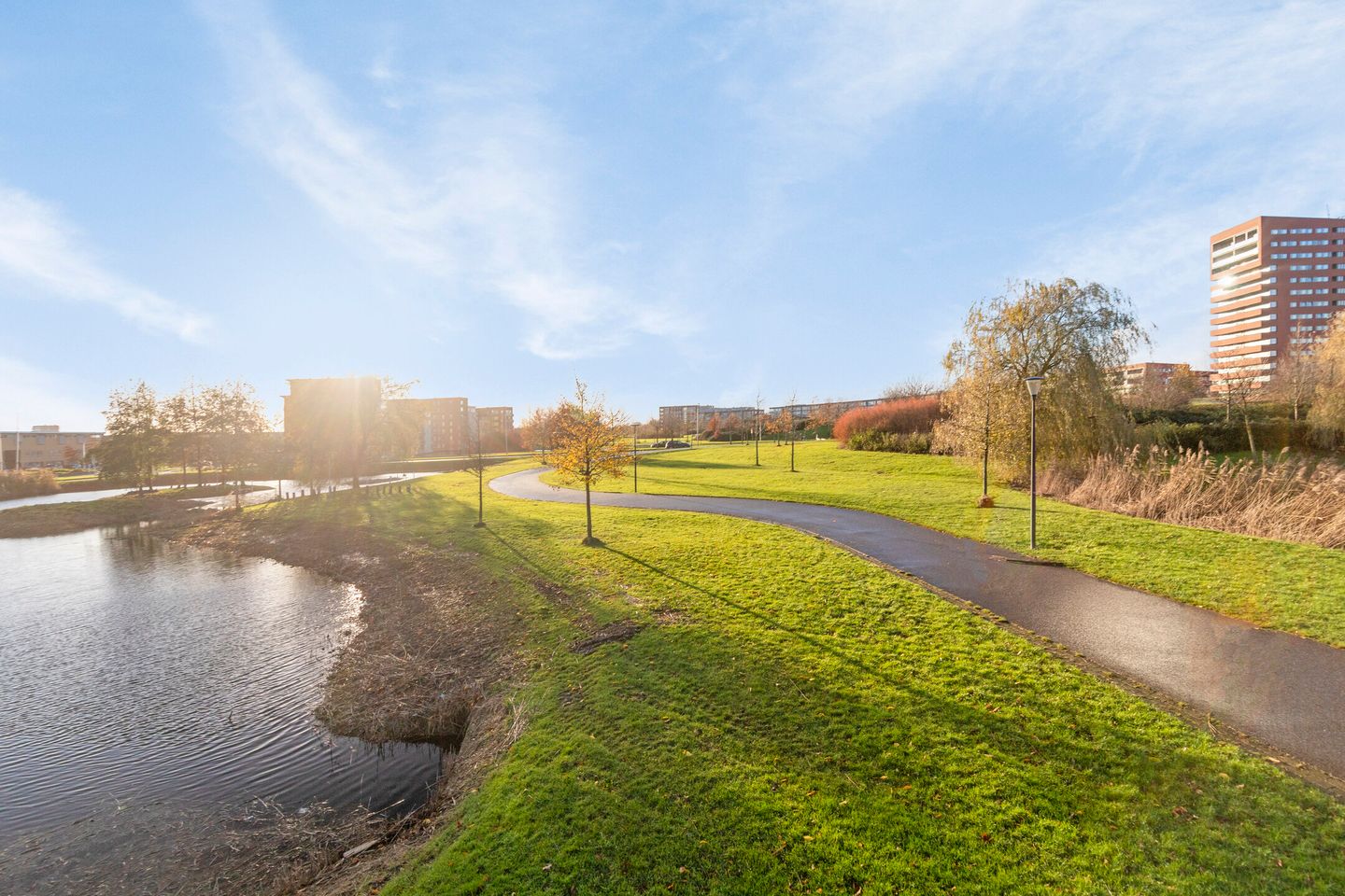 Foto 20 van Zalm 182