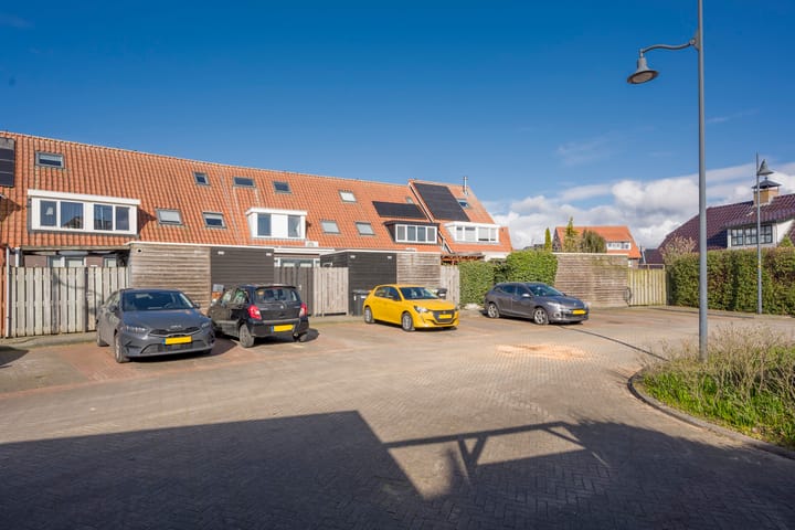 Foto 27 van Tijgervlinder 8