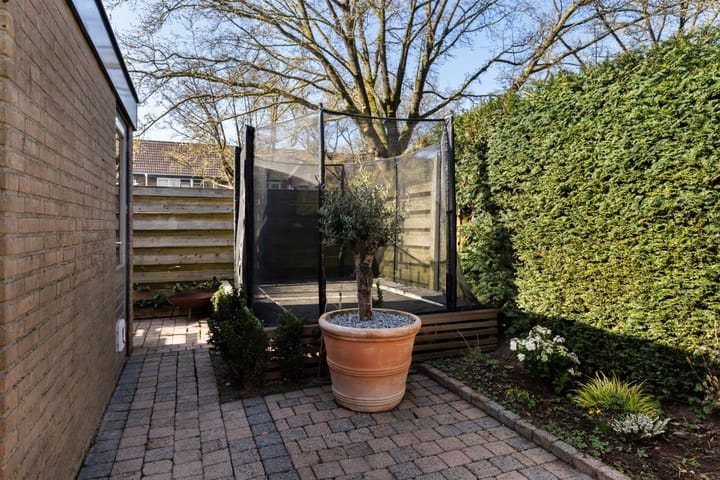 Foto 12 van Spinet 29