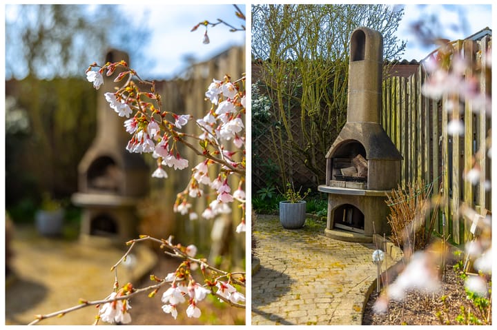 Foto 31 van 't Hoog 22