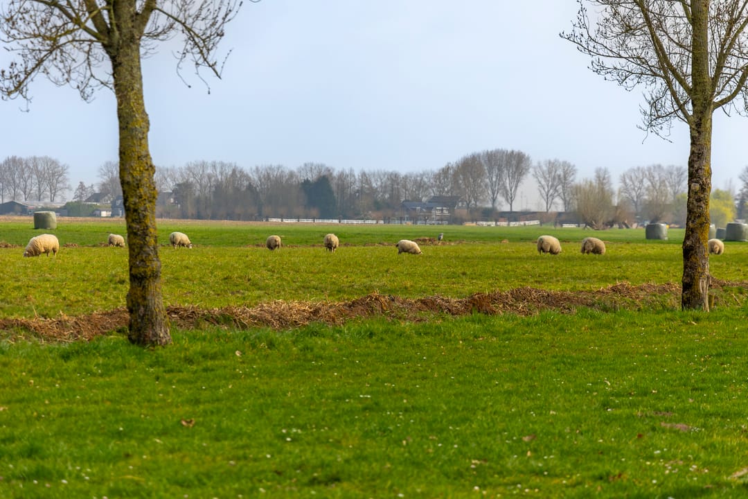 Foto 38 van 't Hoog 22