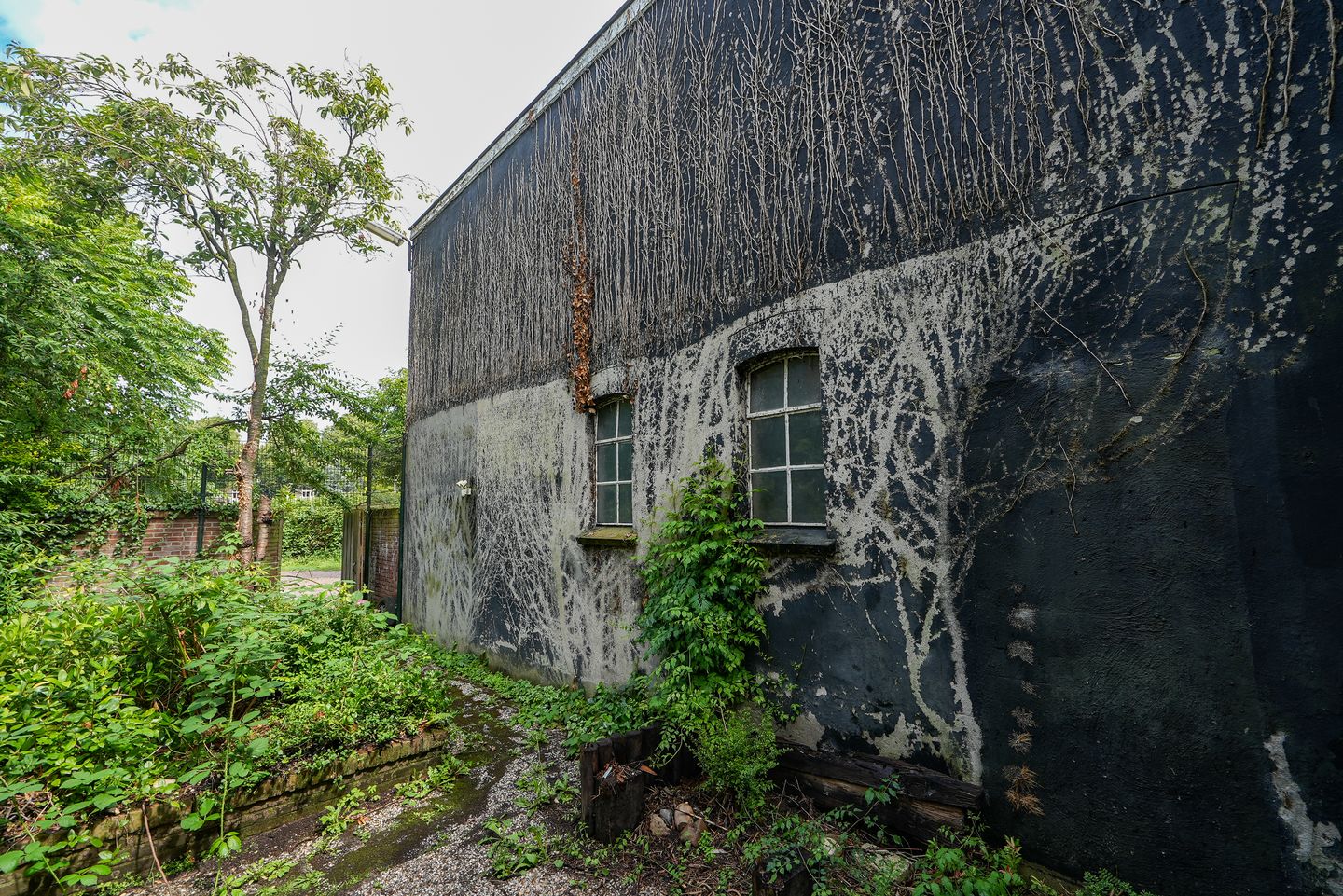 Foto 4 van St. Annastraat 201-A