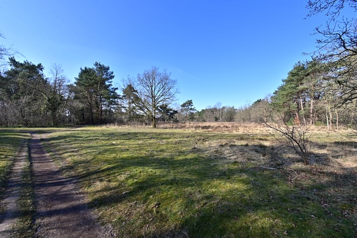 Foto 17 van Anne Franklaan 191