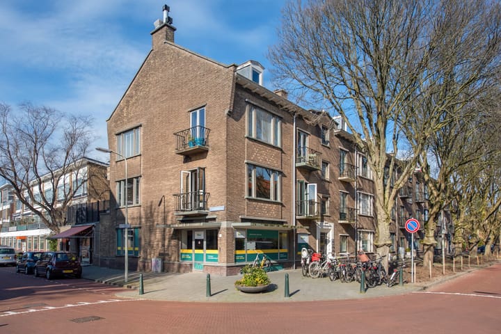 Foto 2 van Arabislaan 74