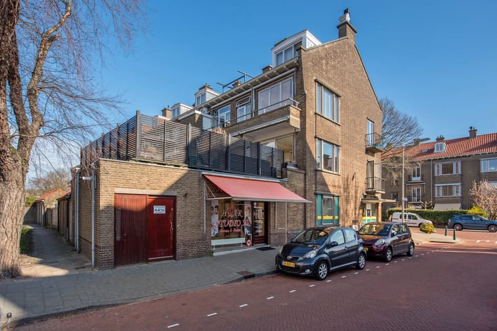 Foto 32 van Arabislaan 74