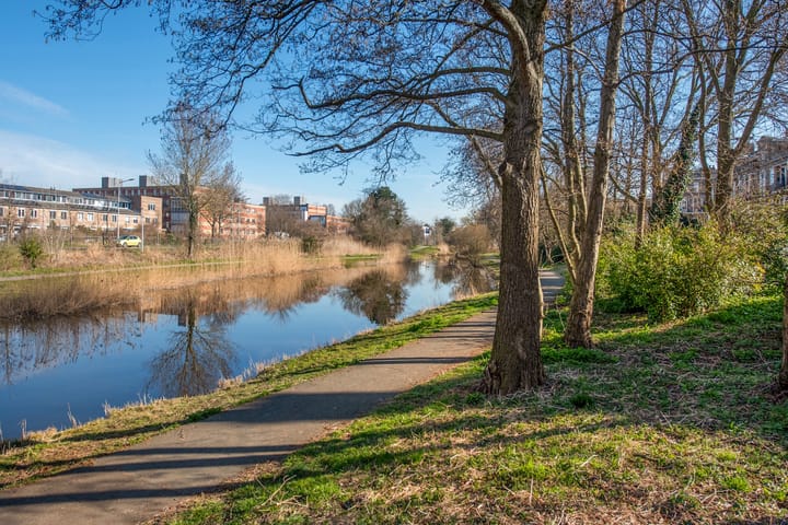 Foto 38 van Arabislaan 74